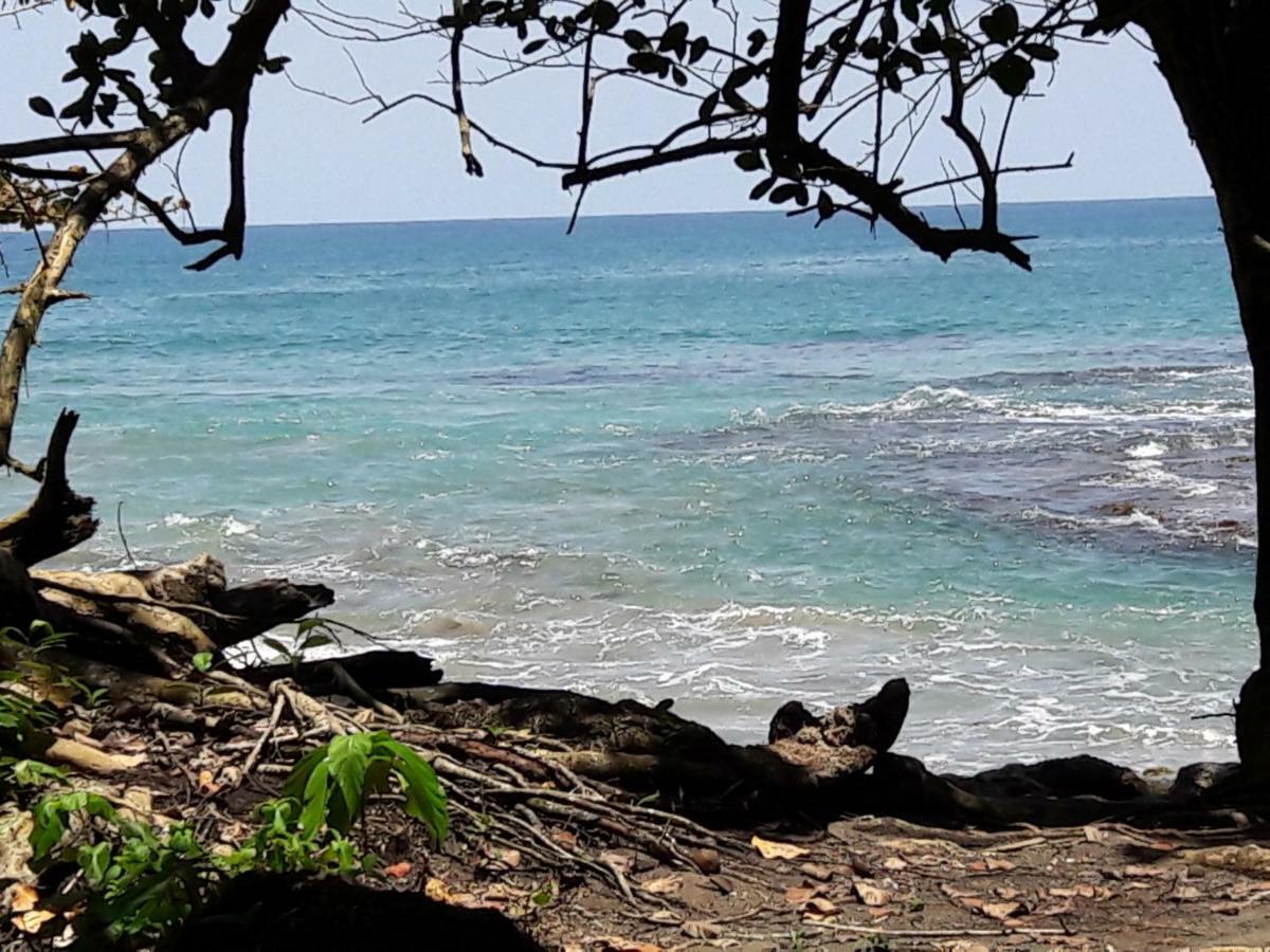 Hotel Casa Conley Del Mar Puerto Viejo de Talamanca Ngoại thất bức ảnh