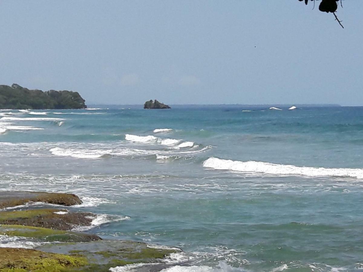 Hotel Casa Conley Del Mar Puerto Viejo de Talamanca Ngoại thất bức ảnh