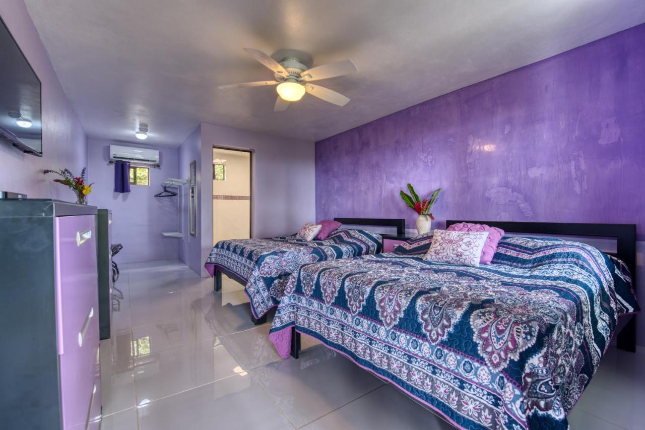 Hotel Casa Conley Del Mar Puerto Viejo de Talamanca Ngoại thất bức ảnh