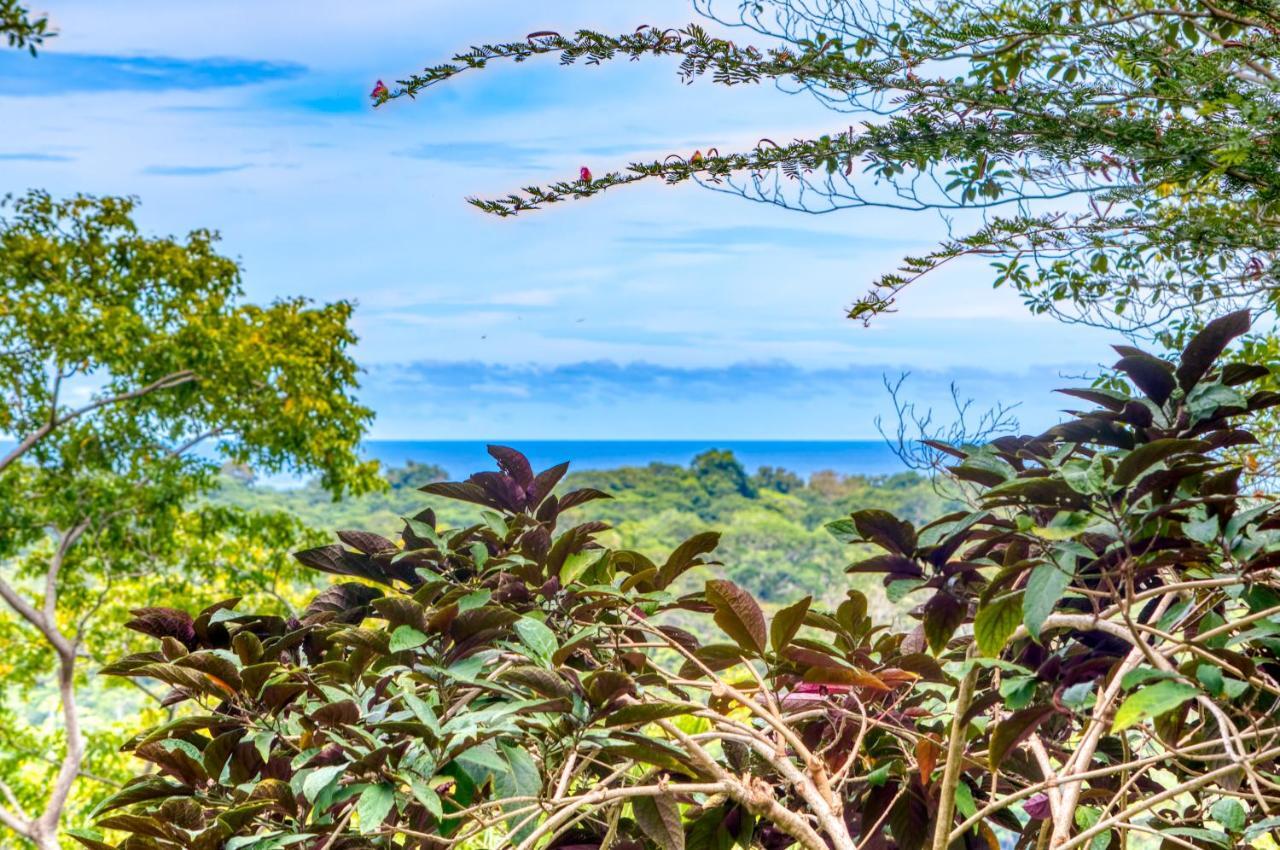 Hotel Casa Conley Del Mar Puerto Viejo de Talamanca Ngoại thất bức ảnh