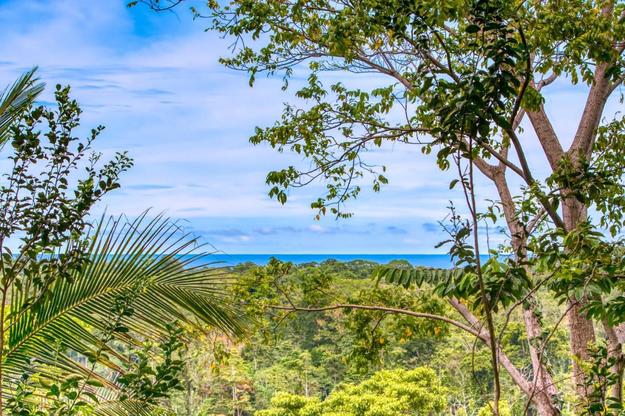 Hotel Casa Conley Del Mar Puerto Viejo de Talamanca Ngoại thất bức ảnh