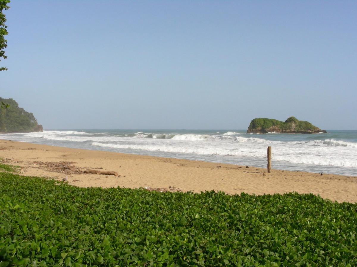 Hotel Casa Conley Del Mar Puerto Viejo de Talamanca Ngoại thất bức ảnh
